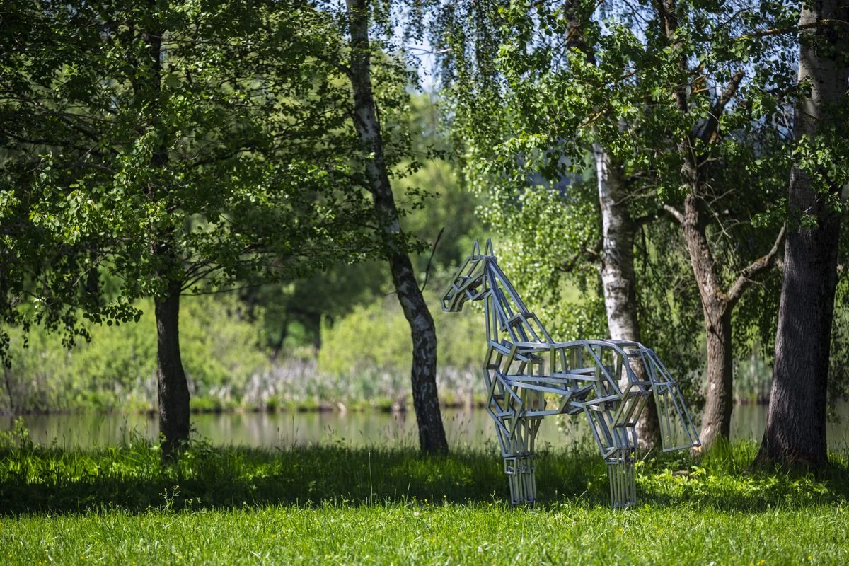 Jakub Flejšar | Neklid | Umění nás spojuje 2026