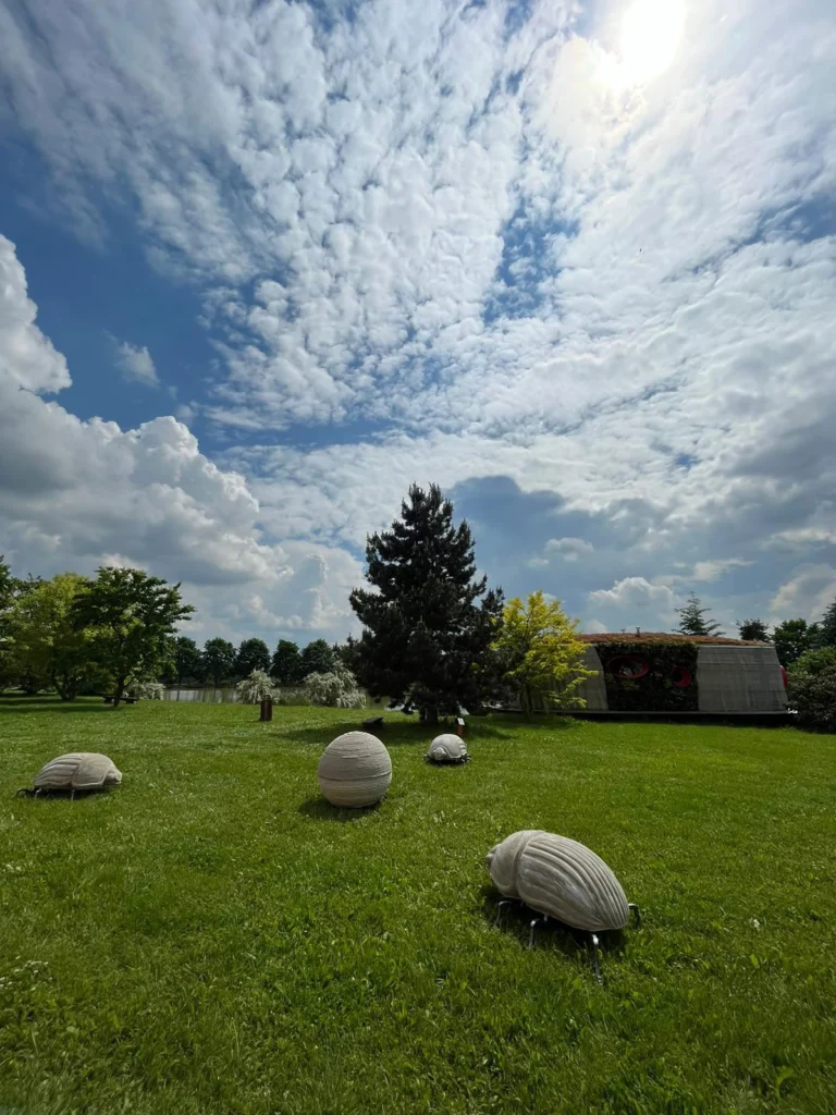Scoolpt | Chrobáci | Umění ve městě 2023